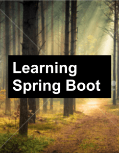 learning-spring-boot-mock-cover